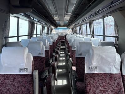 MITSUBISHI Aero Ace, 1998 год., лот 251 - фото 10