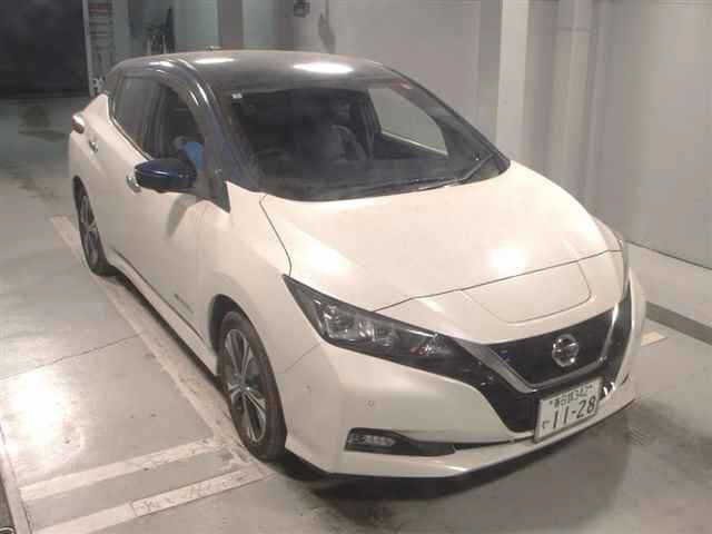 NISSAN Leaf, 2020 год., лот 8231