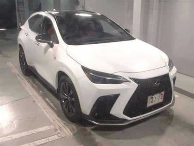 LEXUS Nx, 2023 год., лот 8068