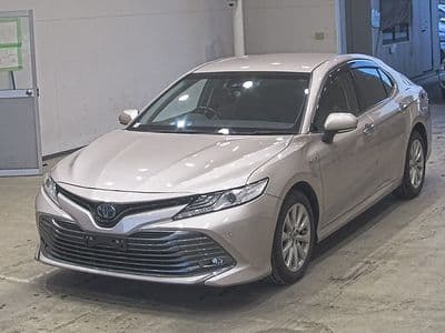 TOYOTA Camry, 2019 год., лот 20282