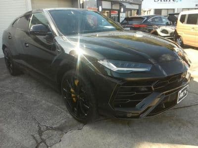 LAMBORGHINI Urus, 2022 год., лот 30014