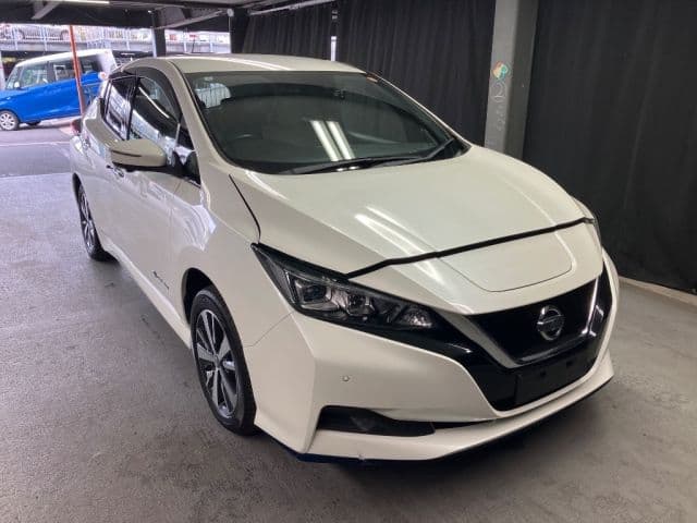 NISSAN Leaf, 2019 год., лот 3005