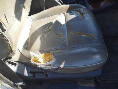 NISSAN Safari, 1993 год., лот 90497 - фото 10