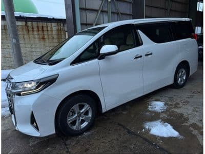 TOYOTA Alphard, 2021 год., лот 14518 - фото 11