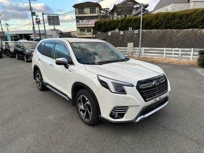 SUBARU Forester, 2023 год., лот 10004