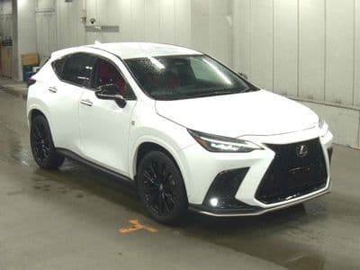 LEXUS Nx, 2023 год., лот 901