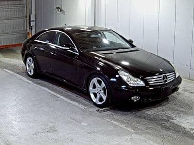 MERCEDES_BENZ Cls, 2007 год., лот 5219