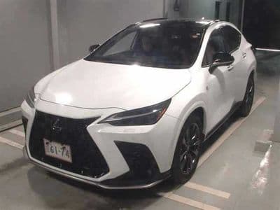 LEXUS Nx, 2023 год., лот 8068 - фото 4