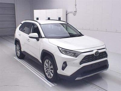 TOYOTA Rav4, 2020 год., лот 8021