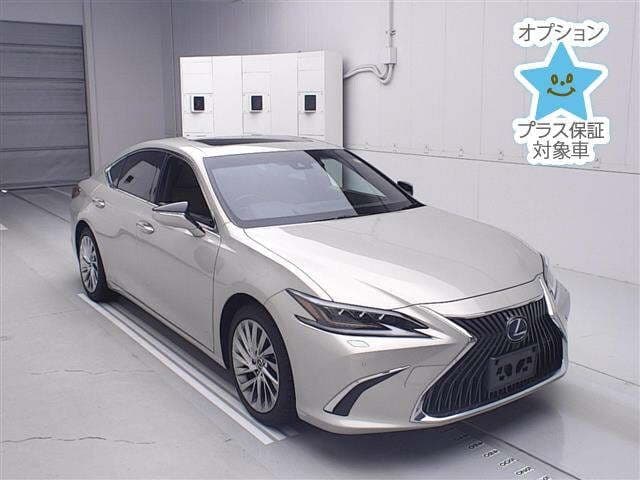 LEXUS Es, 2019 год., лот 8573