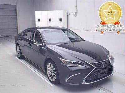 LEXUS Es, 2019 год., лот 60274
