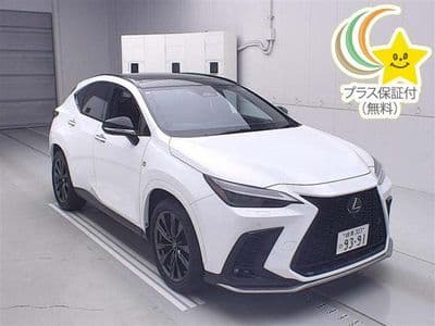 LEXUS Nx, 2021 год., лот 5776