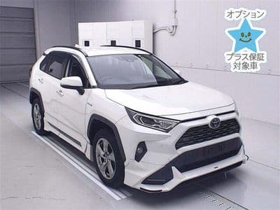 TOYOTA Rav4, 2020 год., лот 7294