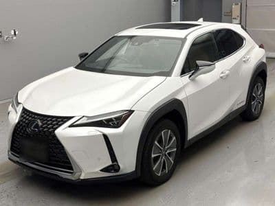 LEXUS Ux, 2021 год., лот 10055