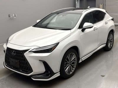 LEXUS Nx, 2023 год., лот 10061