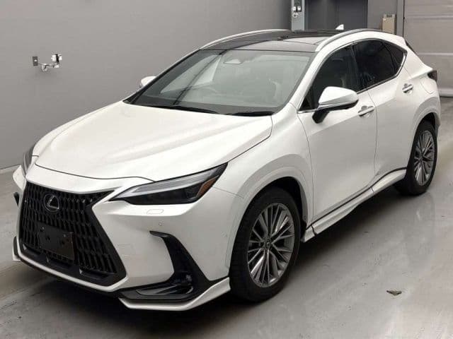 LEXUS Nx, 2023 год., лот 10061