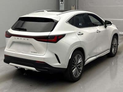 LEXUS Nx, 2023 год., лот 10061 - фото 2
