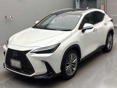 LEXUS Nx, 2023 год., лот 10031