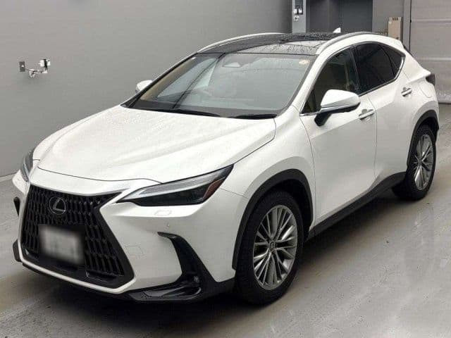 LEXUS Nx, 2023 год., лот 10031