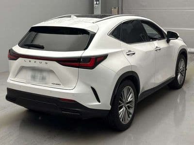LEXUS Nx, 2023 год., лот 10031 - фото 2