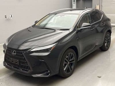 LEXUS Nx, 2023 год., лот 10067