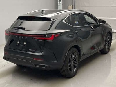 LEXUS Nx, 2023 год., лот 10067 - фото 2