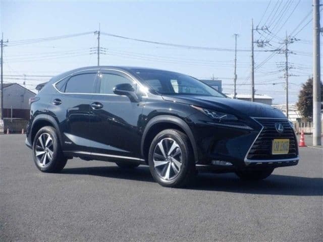 LEXUS Nx, 2018 год., лот 14021
