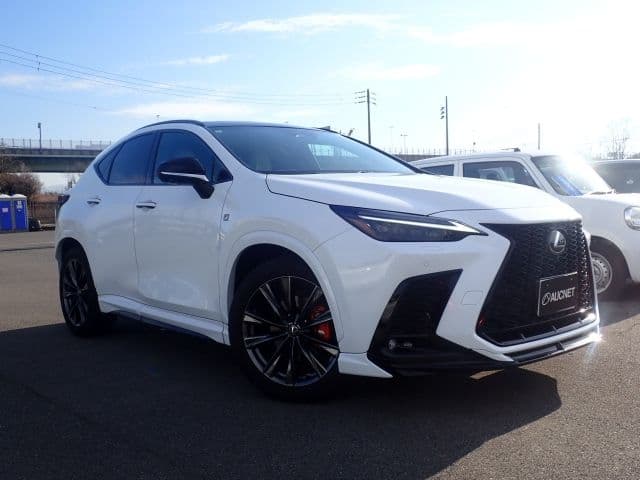 LEXUS Nx, 2024 год., лот 14524