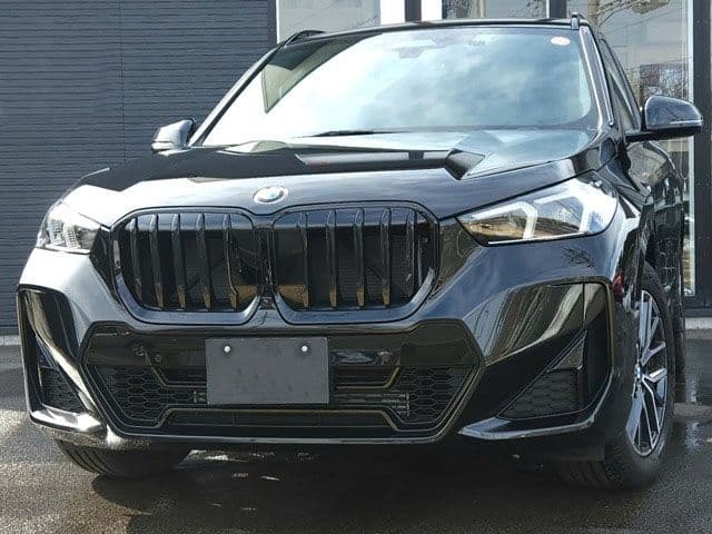 BMW X1, 2023 год., лот 32003