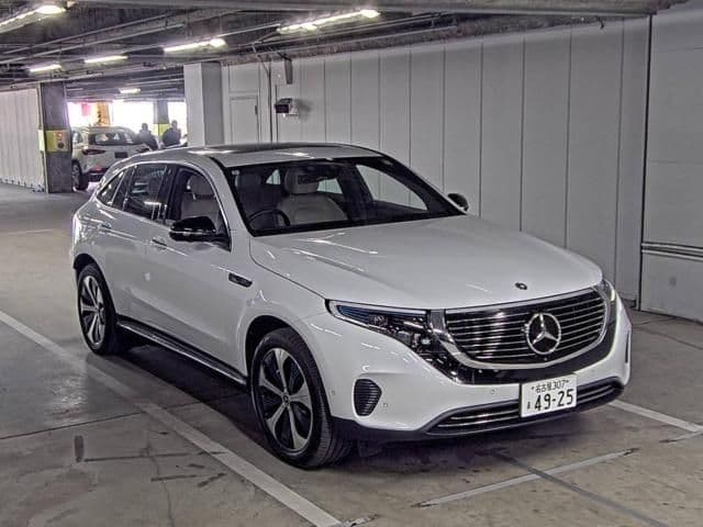 MERCEDES_BENZ Eqc, 2024 год., лот 71