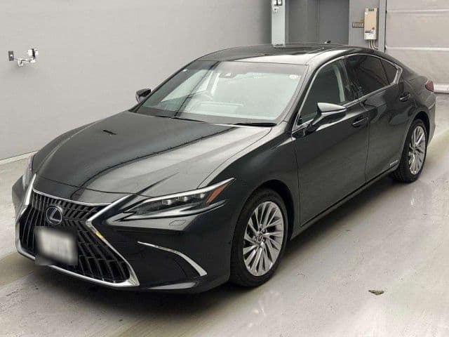 LEXUS Es, 2022 год., лот 10066